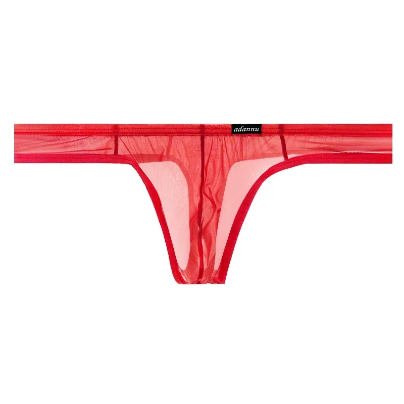Ultra Thin Sheer Briefs Men Underwear Cooling Knickers Low Rise Bulge Pouch Underpants Soft Mesh Panties Male Thong Pants — image 1