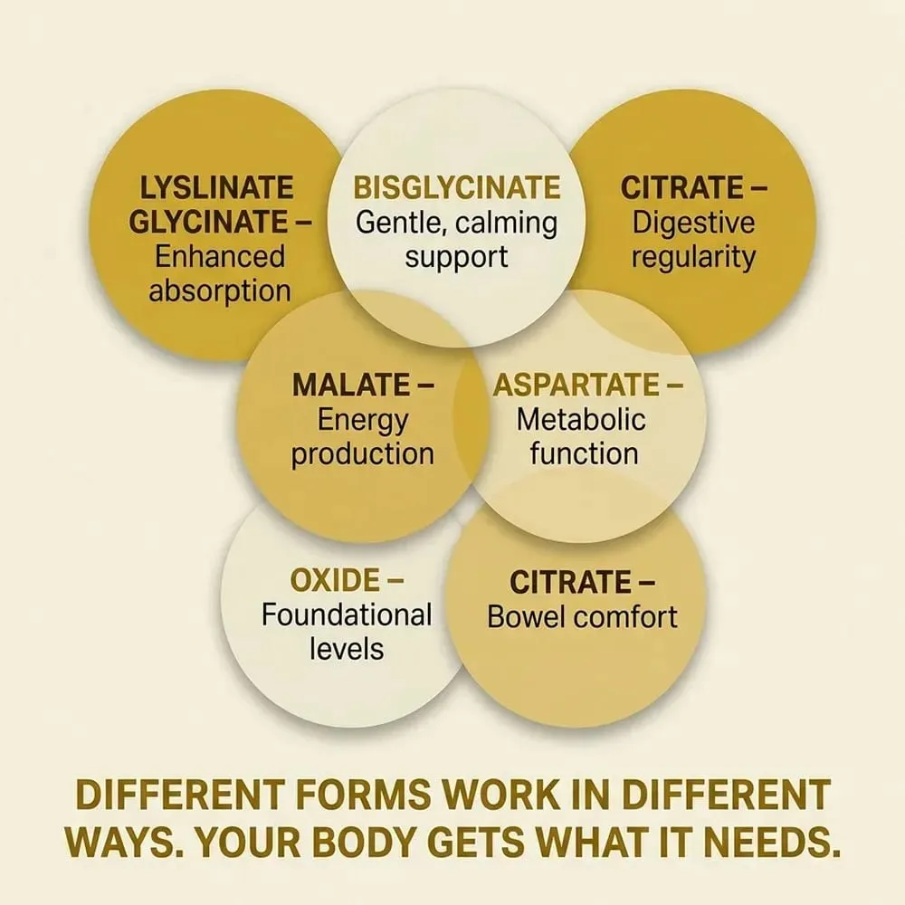 6 in 1 Magnesium Complex Capsules - Promotes Restful Sleep & Relieves Muscle Supports Bone Muscle and Heart Health — image 3