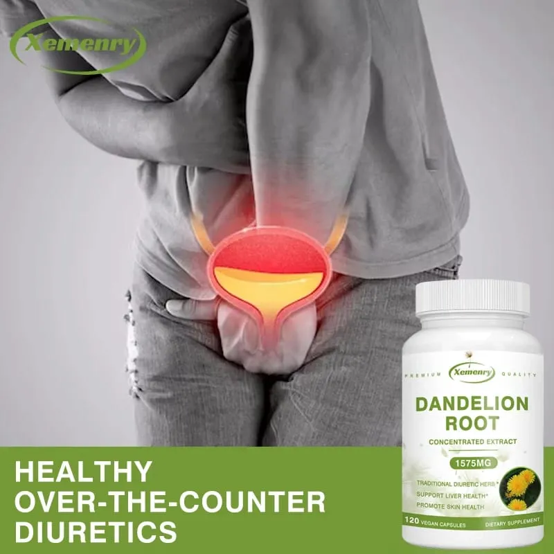 Dandelion Root Extract Capsules for Liver Detox Protection Liver Support Strong Immune System Normal Blood Pressure & Sugar — image 1
