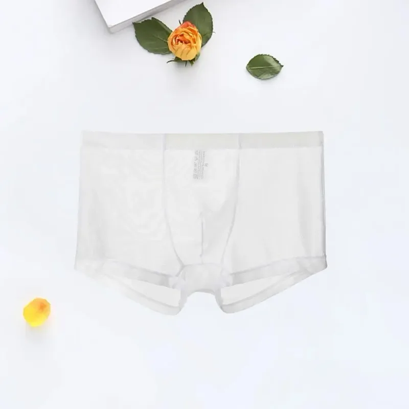 Mga Transparent na Boxer para sa Mga Lalaki na See Through Panlalaking Panloob na Sexy Mesh Low Waist Ice Silk Manipis na Nakakapalamig na Panti ng Lalaki na Panloob na Panloob — image 15