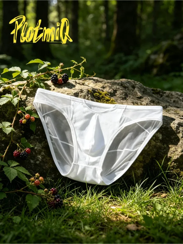 1PCS Mens Spliced Sheer Bikini Underwear Black Mesh Panel Design Soft Elastic Material 3D Contour Pouch Male Briefs — image 3