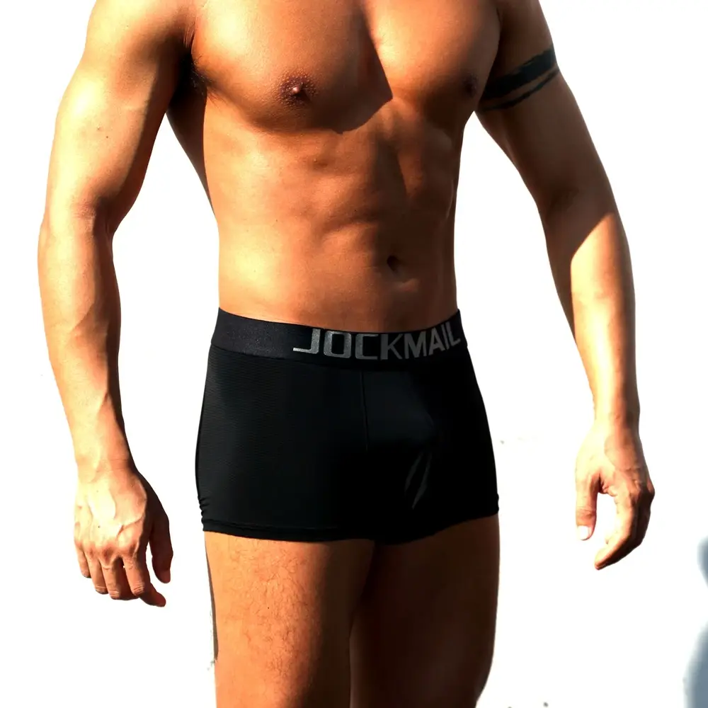 Sexy Men Underwear Boxer Shorts Transparent Mesh Underpants Trunks Men Panties Low Waist Nylon Breathable Quick Drying — image 7