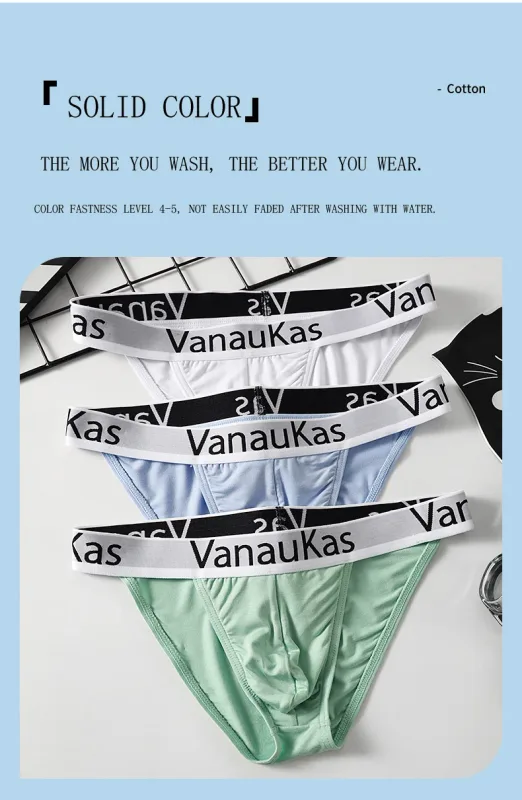Men's High Cut Panties Soft Modal Fabric Low Rise Briefs Sexy Comfortable Underwear