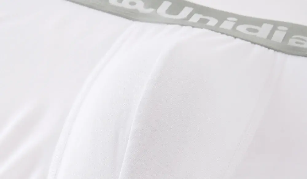 10 Pieces Bamboo Fiber Men's Underpants Solid Color Boxer Briefs Breathable Boxers Underwear Man Stretch Men Panties — image 4