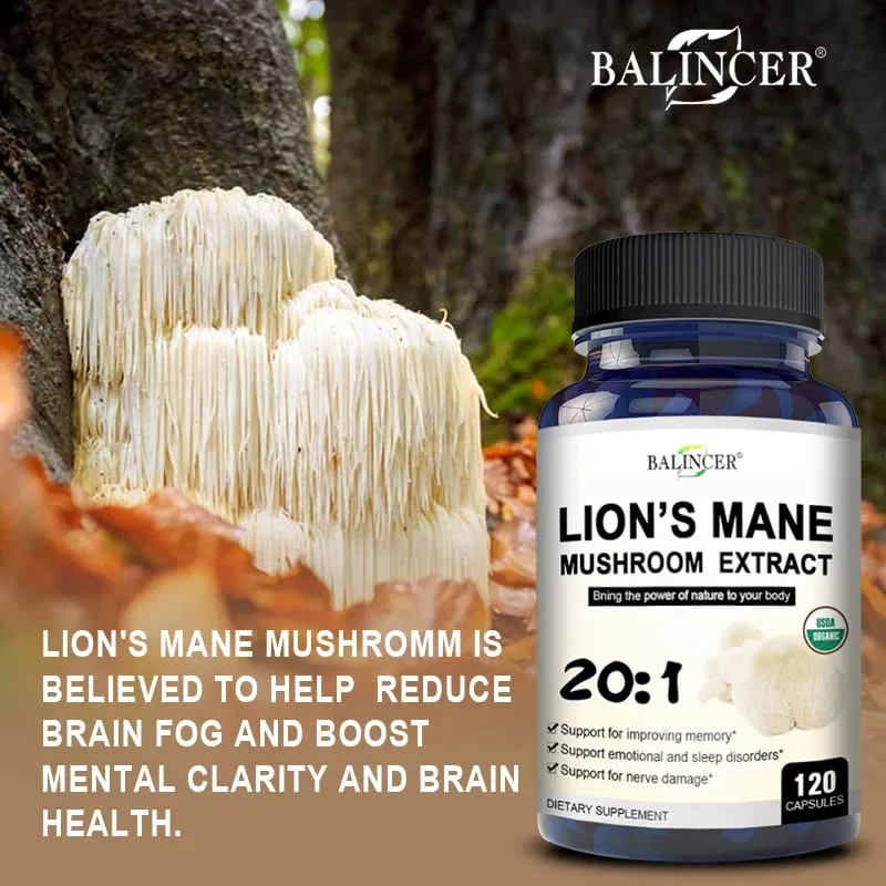 Lion's Mane - Nootropic Brain Memory & Boosts Immune System & Stress Relief Mood and Sleep Health Fights Stress Non-GMO