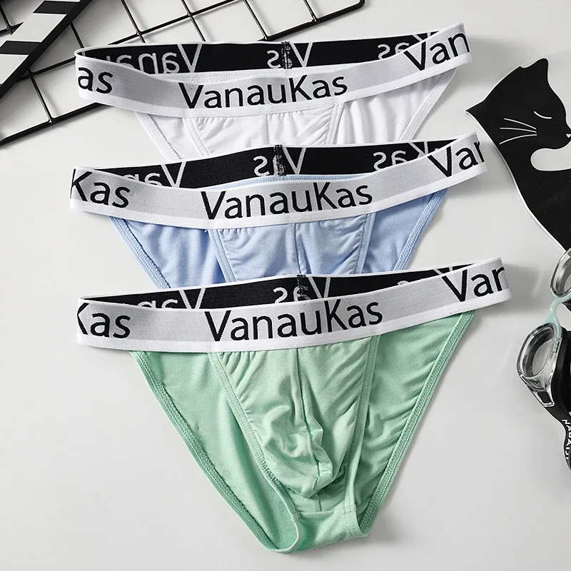 Men's High Cut Panties Soft Modal Fabric Low Rise Briefs Sexy Comfortable Underwear