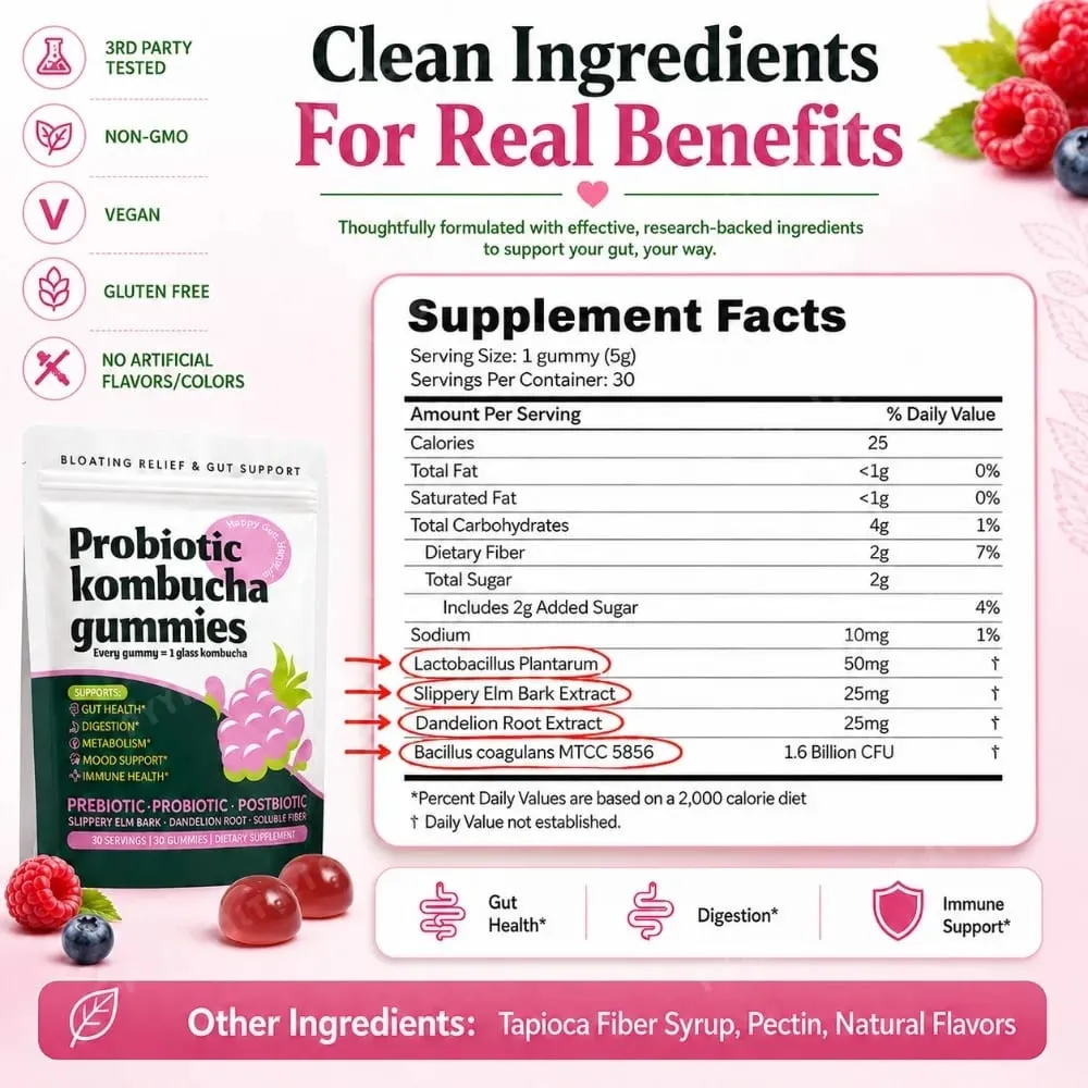 Probiotic Kombucha Gummies Berry 30 Ct Prebiotic Postbiotic Gut Health Digestion Bloating Relief Immune Vegan Non-GMO Supplement — image 5