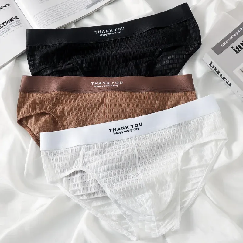 Transparent Mesh Underwear Male Ultra Thin Sheer Briefs Breathable Underpants Bulge Pouch Panties Soft Lingerie Low Rise Knicker — image 3