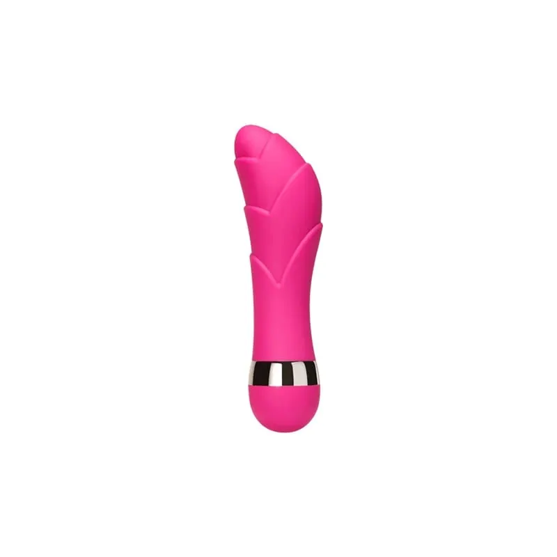 Mini Multi Speed Vibrator G Spot Vagina Vibrators Clitoris Butt Plug Anal Erotic Goods Products for Woman Men Adults Sex Toys — image 14