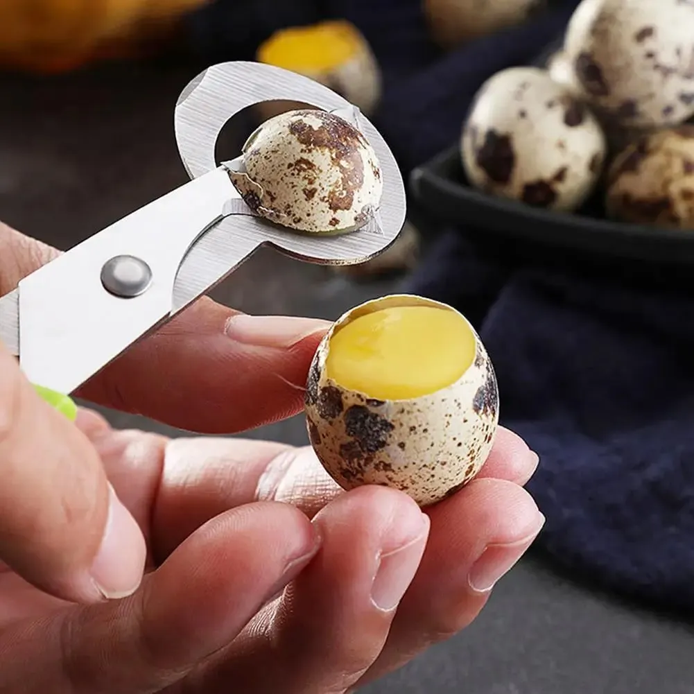 1-20PCS Stainless Steel Quail Egg Scissors Egg Shell Cutter Opener - High Quality Steel Blades Brand New Durable Egg Slicer Tool — image 6