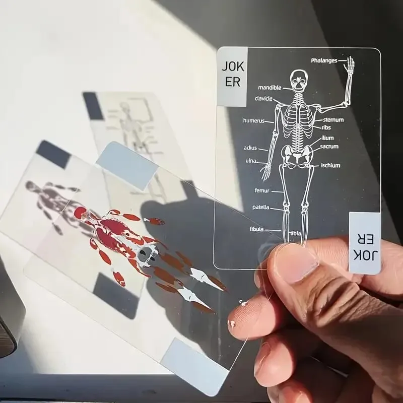 Human Skeleton Knowledge Poker Cards Transparent PVC Waterproof Cards Educational Gifts and Collectibles for Medical Students