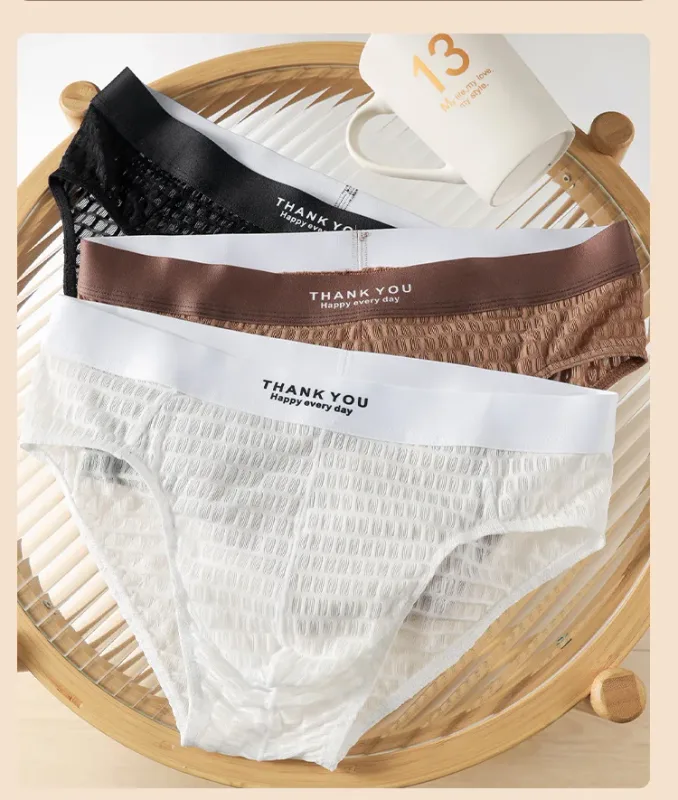 Transparent Mesh Underwear Male Ultra Thin Sheer Briefs Breathable Underpants Bulge Pouch Panties Soft Lingerie Low Rise Knicker — image 7