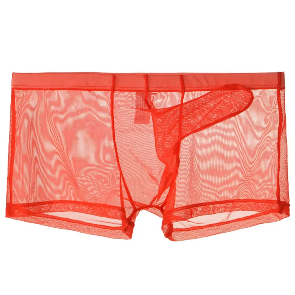 Mga Sexy Men Mesh Transparent Lightweight Underwear See Through Breathable Boxer Briefs Panties Bullet Separation Male Boxer Panty — image 7