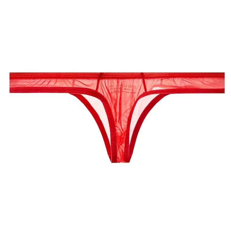 Ultra Thin Sheer Briefs Men Underwear Cooling Knickers Low Rise Bulge Pouch Underpants Soft Mesh Panties Male Thong Pants — image 2