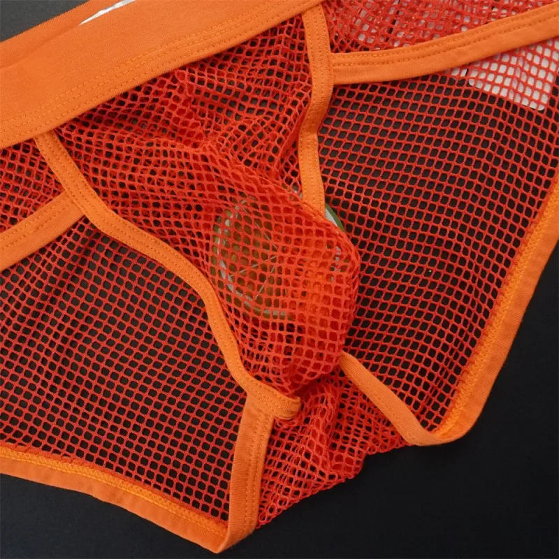 Plus Size Mesh Underwear Men Transparent Large Fishnet U Pouch Briefs Male Low Waist Solid Color Sexy Perspective Male Panties — image 5
