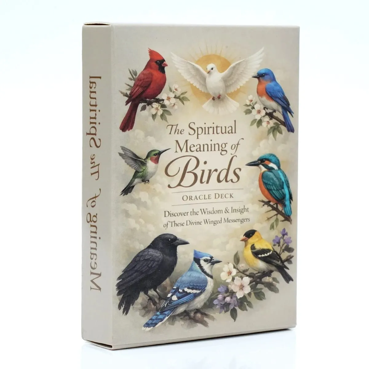 Spiritual Bird Oracle Card Deck 50 Feathered Messenger Cards for Intuitive Reading Symbolic Guidance Daily Reflection Nature Ins