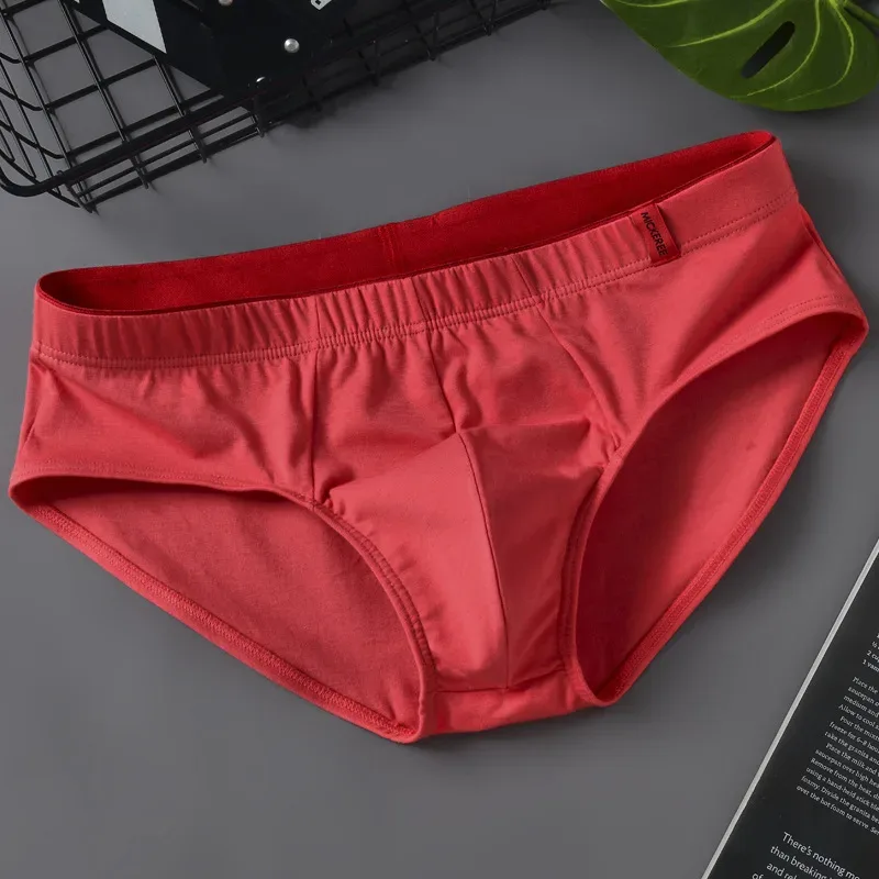 Men Briefs Solid Color Cotton Youth Briefs Waist Comfortable Sexy Explosion Trend Breathable Underwear Sissy Panties — image 25