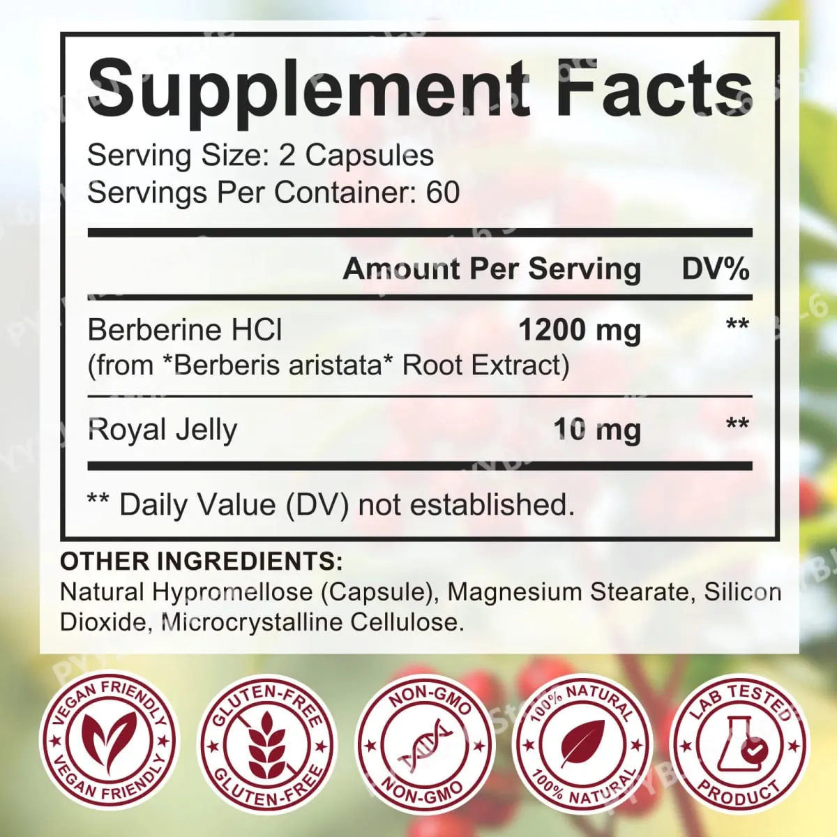 Berberine Plus Κάψουλες 1200mg Berberine HCl Μεταβολισμός & Υποστήριξη Υγείας του Πεπτικού Εντέρου 120 Κάψουλες — image 6